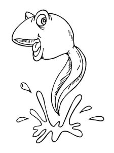 Tadpole coloring page 8 - Free printable