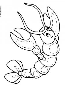 Crayfish coloring page 13 - Free printable
