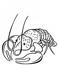 Crayfish coloring page 17 - Free printable