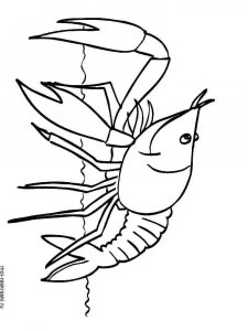 Crayfish coloring page 2 - Free printable