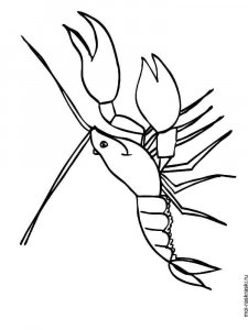 Crayfish coloring page 3 - Free printable