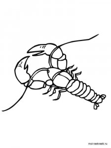 Crayfish coloring page 6 - Free printable