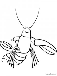 Crayfish coloring page 8 - Free printable