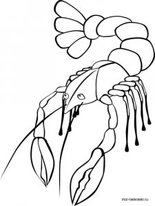 Crayfish coloring page 9 - Free printable