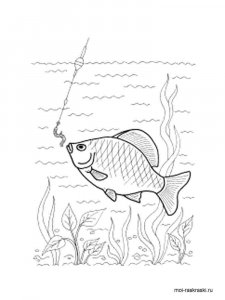 Crucian coloring page 1 - Free printable