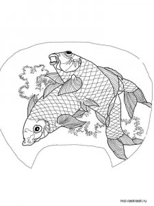 Crucian coloring page 3 - Free printable