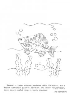Crucian coloring page 4 - Free printable