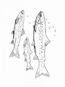 Sea Fish coloring page 19 - Free printable