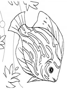 Sea Fish coloring page 5 - Free printable