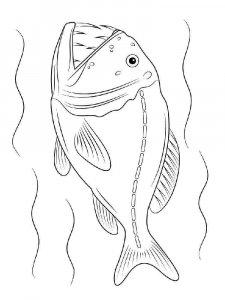 Sea Fish coloring page 6 - Free printable