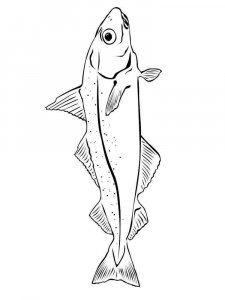 Sea Fish coloring page 9 - Free printable
