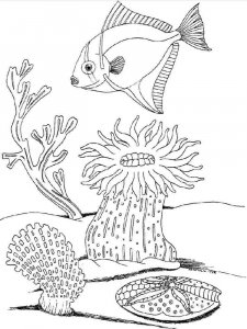 Underwater World coloring page 18 - Free printable