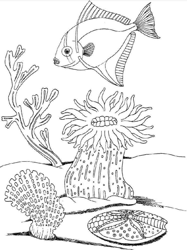 Underwater World coloring pages. Download and print Underwater World