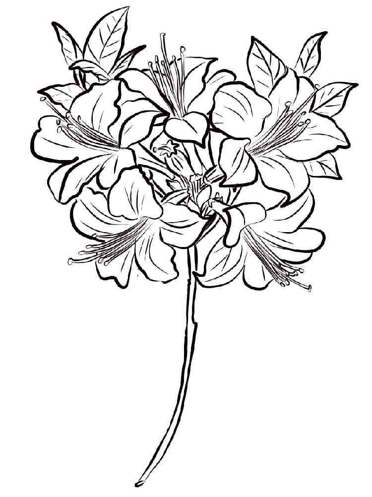 Printable Zentangle Flowers Coloring Pages / 6 Brain Coloring Pages