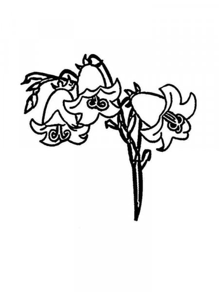 Bellflower coloring pages. Download and print Bellflower coloring pages