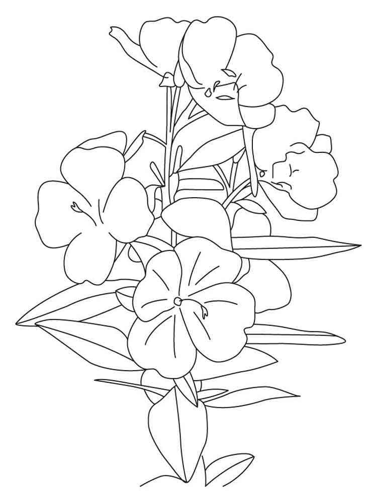 Download Buttercup flower coloring pages. Download and print Buttercup flower coloring pages
