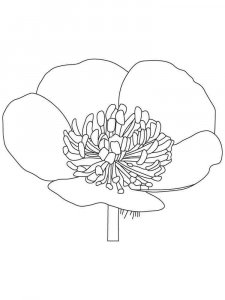 Buttercup coloring page 1 - Free printable