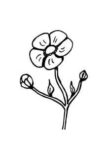 Buttercup coloring page 10 - Free printable