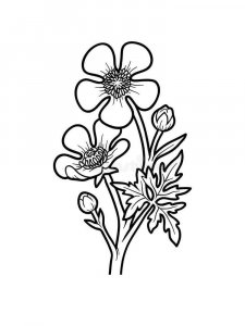 Buttercup coloring page 14 - Free printable