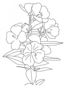 Buttercup coloring page 5 - Free printable