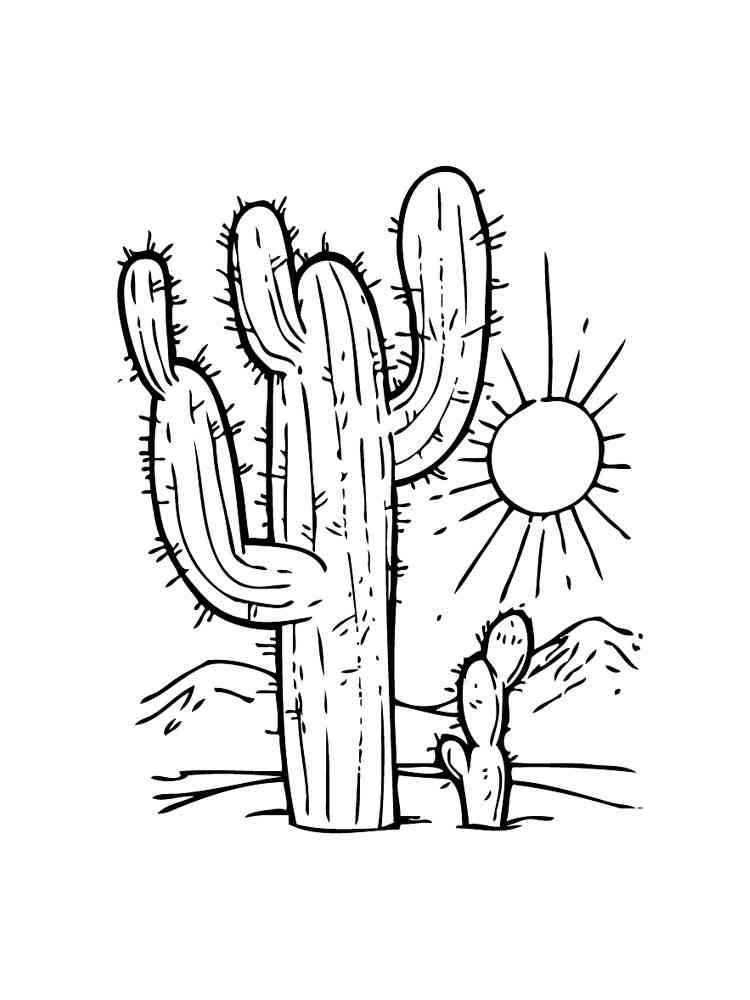 Cactus coloring pages. Download and print Cactus coloring pages
