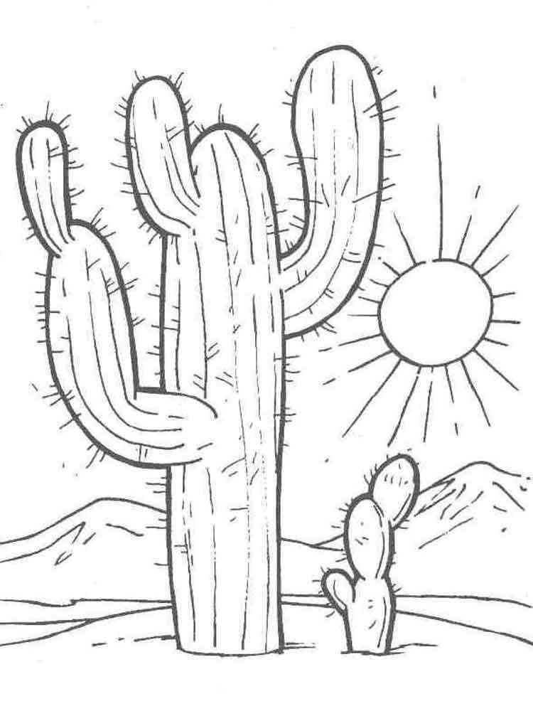 Cactus Coloring Pages