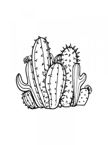 Cactus coloring pages