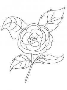 Camellia coloring page 6 - Free printable