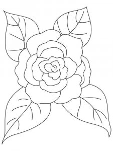 Camellia coloring page 7 - Free printable