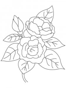 Camellia coloring page 8 - Free printable