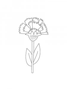 Carnation coloring page 14 - Free printable