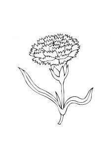 Carnation coloring page 17 - Free printable