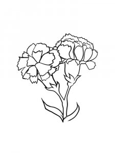 Carnation coloring page 21 - Free printable