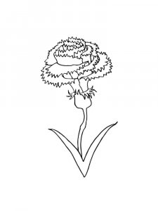 Carnation coloring page 22 - Free printable