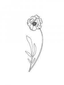 Carnation coloring page 23 - Free printable