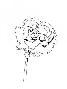 Carnation coloring page 4 - Free printable