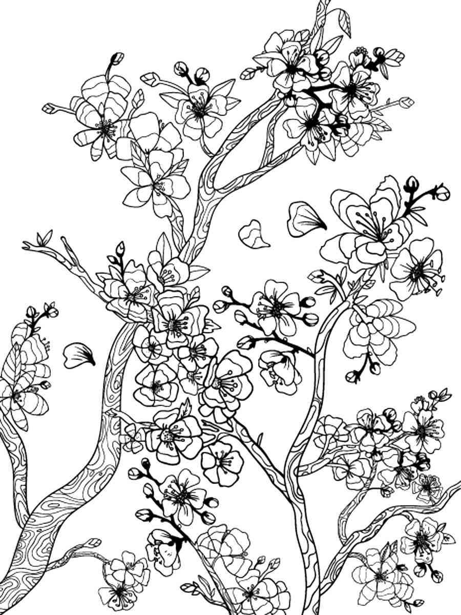 cherry tree branch coloring page
