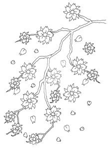 Cherry Blossom coloring page 1 - Free printable