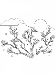 Cherry Blossom coloring page 6 - Free printable