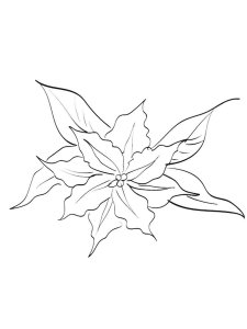 Clematis coloring page 7 - Free printable