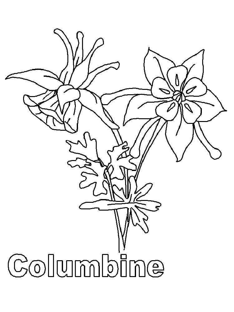 Columbine Flowers coloring pages. 