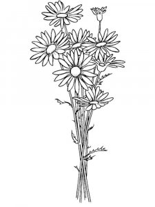 Daisy Flower coloring page 3 - Free printable