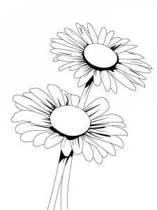 Daisy Flower coloring page 4 - Free printable