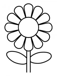 Daisy Flower coloring page 5 - Free printable