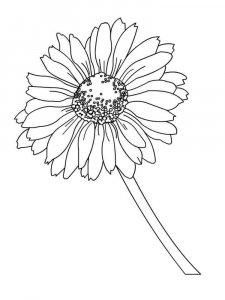 Daisy Flower coloring page 9 - Free printable
