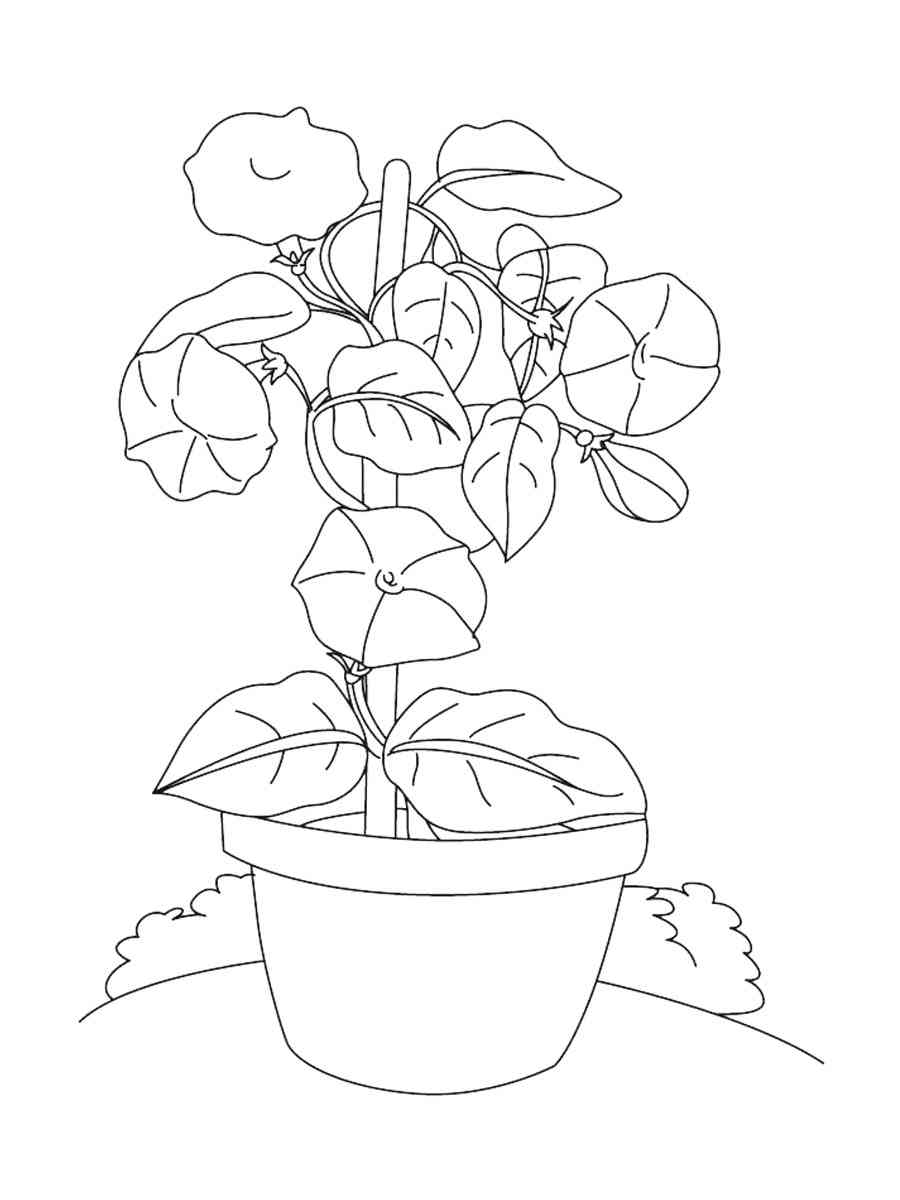 Flower Pot coloring pages - Free Printable