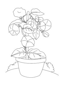 Flower Pot coloring page 5 - Free printable