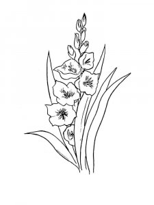 Gladiolus coloring page 13 - Free printable