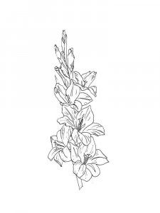 Gladiolus coloring page 14 - Free printable