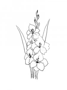 Gladiolus coloring page 17 - Free printable